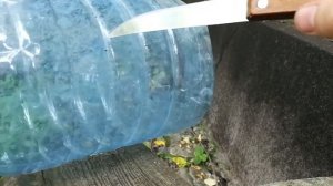 АвтоПоилка из бутылок - DIY PET bottle bird feeder