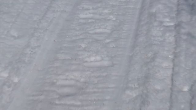 БУДЬТЕ ОСТОРОЖНЫ / МЕДВЕДИ ПРОСНУЛИСЬ смотреть онлайн