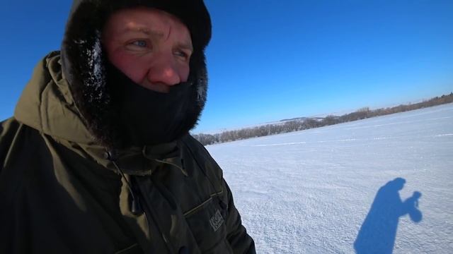 охота на волков!волки "резали" косуль,добыли ЛЕСНЫХ волков! смотреть онлайн