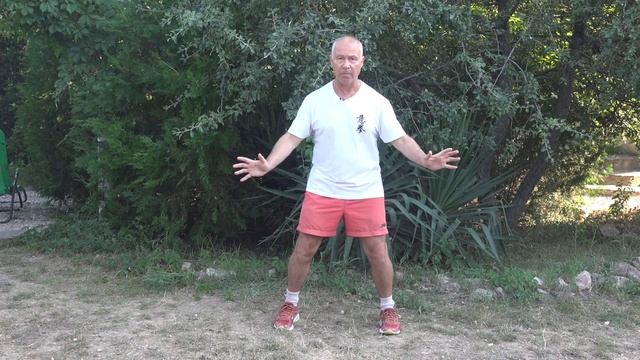 ШКОЛА ИЦЮАНЬ-112. Углублённое повторение Бошуй Шили