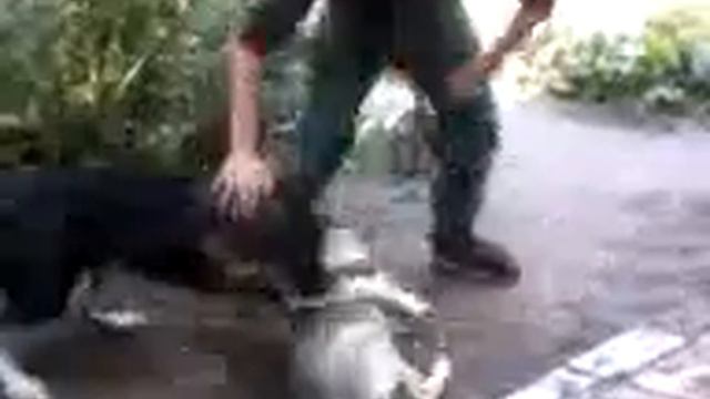 Дибил с дачи смотреть онлайн