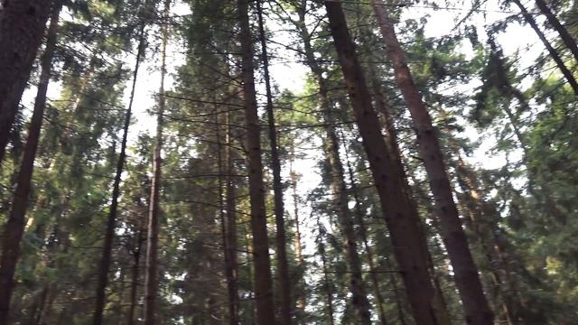 Как установить тент? Как установить тент на природе? Установка тента в походе. Как натянуть тент