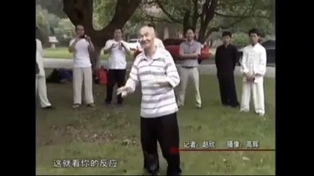 Мастер синъи (形意) багуа (八卦) мэйхуа (梅花) -  Ван Ци (王祺) (1928 2023) лаоши  / Wang Qi.