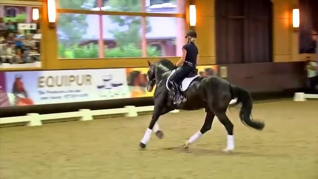 Monica Theodorescu - "Die Alten Meister" - in Perl, Juli 2015 смотреть онлайн
