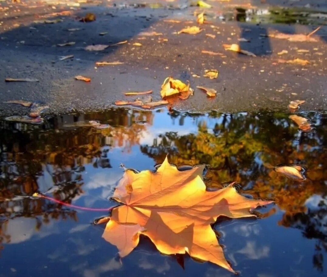 осеннее настроение