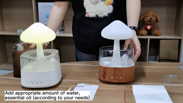 Rain Cloud Humidifier смотреть онлайн