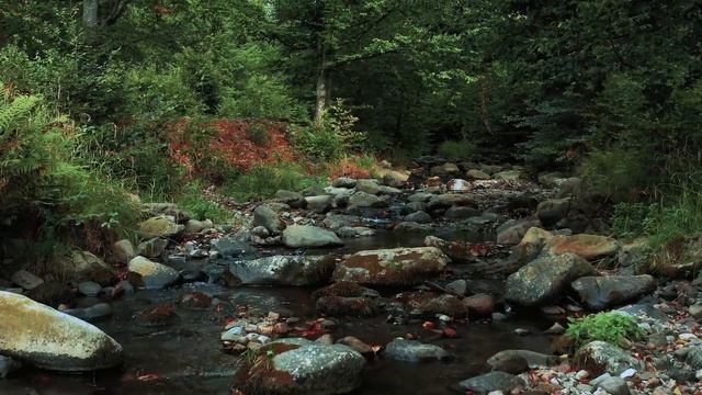 СПОКОЙНАЯ МУЗЫКА ДЛЯ МЕДИТАЦИИ / РЕЛАКСИРУЮЩАЯ МУЗЫКА / МУЗЫКА ДЛЯ СНА / MUSIC FOR MEDITATION смотреть онлайн