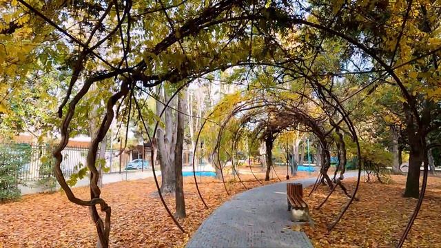 Прогулка по парку в декабре. Лазаревское 11.12.2020г.?ЛАЗАРЕВСКОЕ СЕГОДНЯ ?СОЧИ. смотреть онлайн