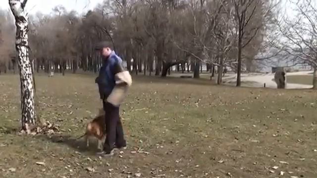 Подготовка АМПБ к соревнованиям. ЗКС смотреть онлайн
