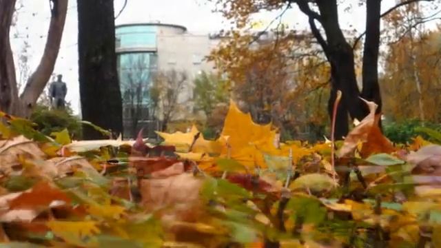 В Кузьмин "Капюшон" смотреть онлайн