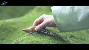 [рус саб] ОСТ 3 к дораме АЛХИМИЯ ДУШ