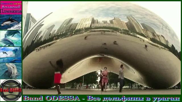 Band ODESSA - Всё дельфины в ураган.mp4 смотреть онлайн