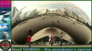 Band ODESSA - Всё дельфины в ураган.mp4