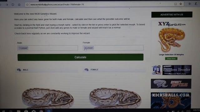 Dominant, Co-Dominant, and Recessive Ball Python Genetics смотреть онлайн