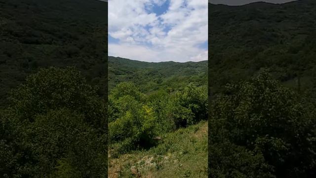 Я в Южной Осетии в Ленингорском районе в селе Цхилон у подруги! Не передать словами какая природа! смотреть онлайн