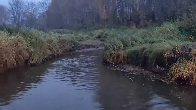 Река Вятка, устье реки Прости. смотреть онлайн