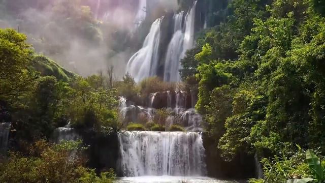 A Top List of Beautiful Nature Video with Piano Music, Waterfall & Birds Sounds🌿Healing Gentle Musi смотреть онлайн