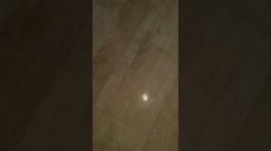 Отмыла белый линолеум с помощью паровой швабры!Обзор пароочистителя Kitfort KT-1008