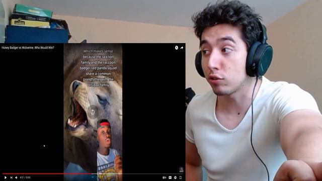 Reacting to Honey Badger vs Wolverine: Who Would Win? By Hood Nature смотреть онлайн