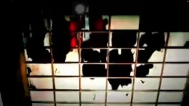 9 vídeos assustadores e duvidosos??? react área curiosa смотреть онлайн