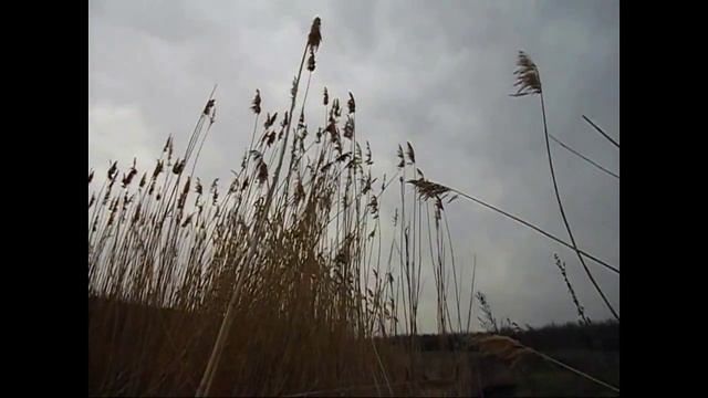 Сухая Конка 1 смотреть онлайн