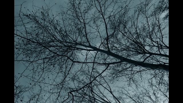 jolene - cover 80's смотреть онлайн