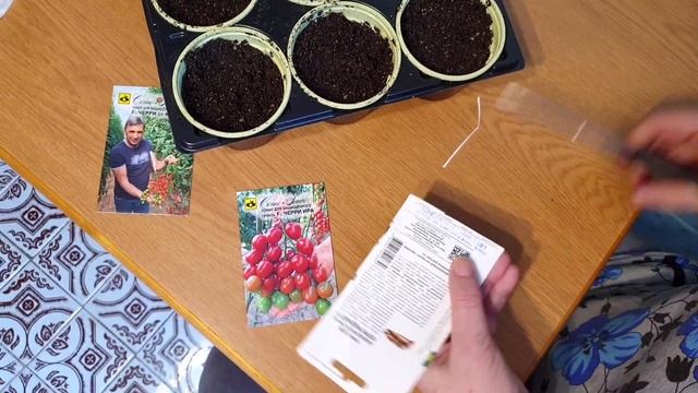 Посадка томатов черри на рассаду. Томаты ЧЕРРИ: Лучшие и Урожайные гибриды томатов для теплицы. смотреть онлайн