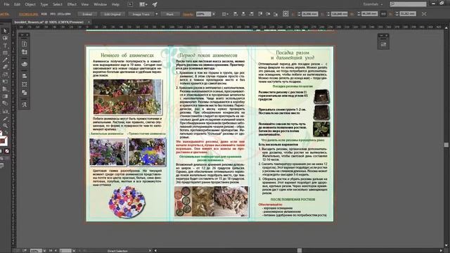 ✦✦✦Как подготовить БУКЛЕТ к печати, КОТОРЫЙ ПРИМЕТ ЛЮБАЯ ТИПОГРАФИЯ!|NOVA| смотреть онлайн