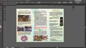 ✦✦✦Как подготовить БУКЛЕТ к печати, КОТОРЫЙ ПРИМЕТ ЛЮБАЯ ТИПОГРАФИЯ!|NOVA|