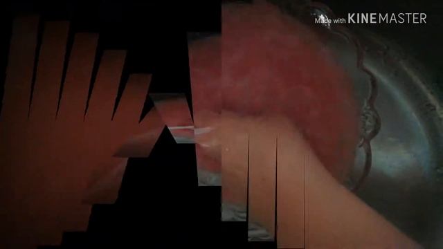 Наука о Животных и их Поведение