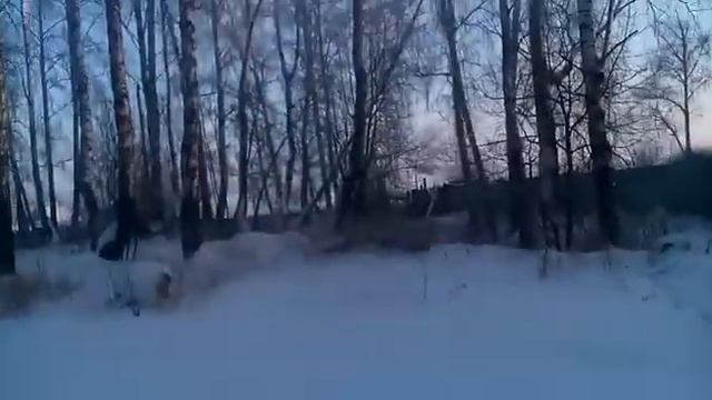 Мороз и день чудесный ! 4 января 2021 года смотреть онлайн