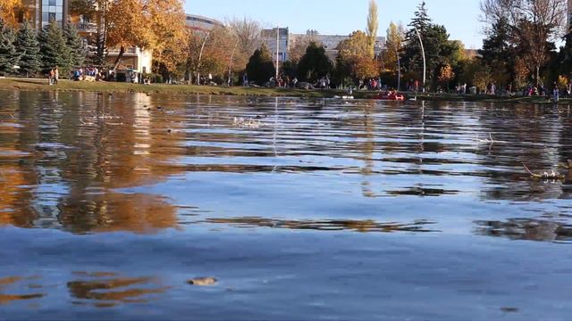 Simferopol. Gagarin park. Autumn 2021. Симферополь. Гагаринский парк. Осень 2021. Озера часть 3 смотреть онлайн