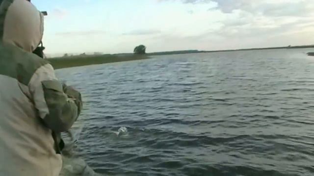 "ЧИСТАЯ РЕКА" рейд двадцатый 23.05.2019 смотреть онлайн