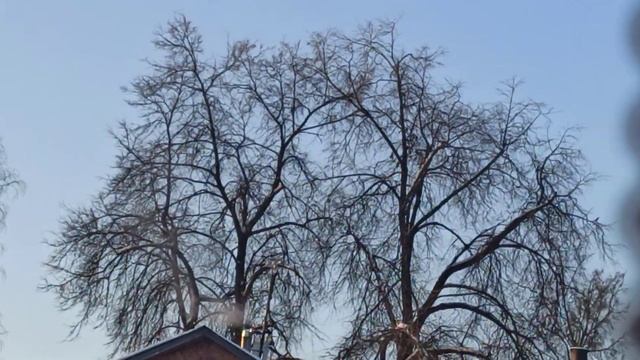Дым коромыслом! Жди снегопада смотреть онлайн