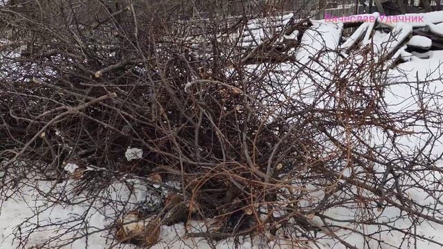 Отзыв о бензопиле Hüter Bs-52