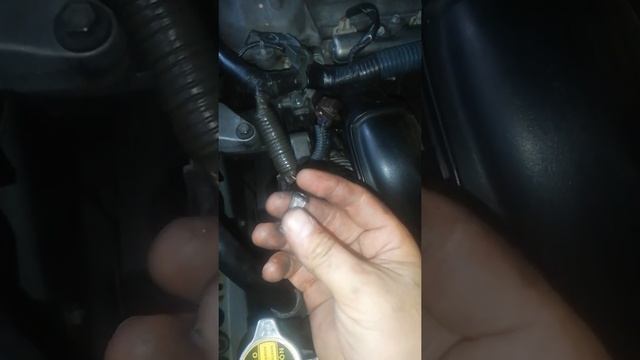 Cambio de micro filtro de aceite en corolla sensación y toyota yaris смотреть онлайн