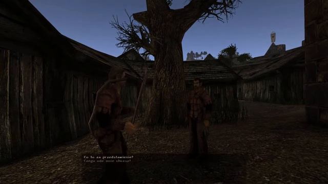 Zagrajmy w Gothic 2 Noc Kruka [#11] - Attila смотреть онлайн