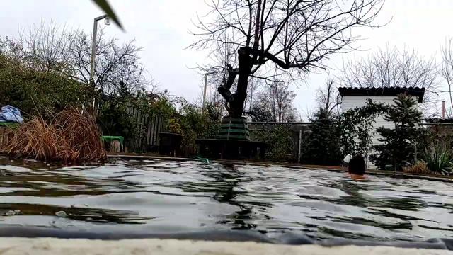 +2°C, 04.12.21 Моржевание смотреть онлайн