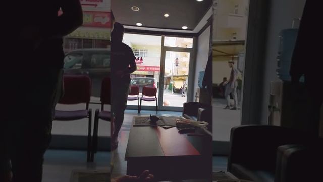 Amazingly Sweet Bird | Melopsittacus Undulatus | Budgerigar