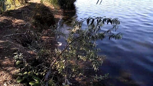 Прогулка по | Магнитогорск смотреть онлайн