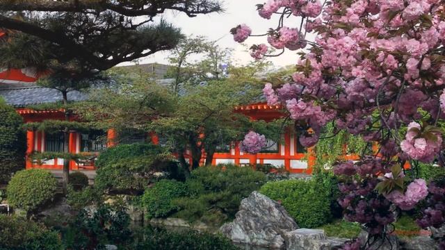 Японские хокку смотреть онлайн