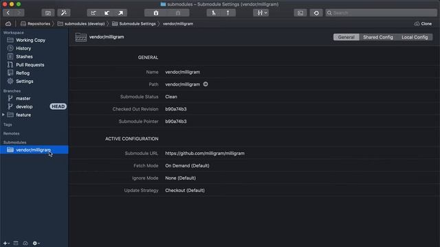 More Productive in Git #17: Submodules смотреть онлайн