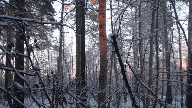 Ориентирование на местности. Солнечные блики смотреть онлайн