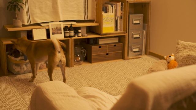 《 疲れた日には、やさしさに包まれて。｜ 暮らしのVlog #10 》 Wrap yourself in kindness on a tiring day. /SUB смотреть онлайн