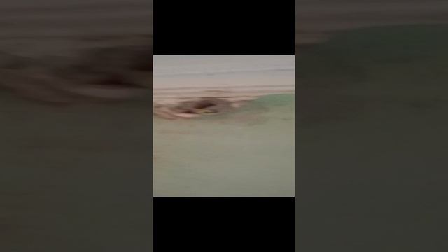 Отремонтировать карниз на Mymaster