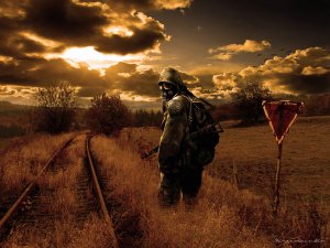 ВИНТОВКА СКС МОСИНКА МУЧЕНИЯ ДЛЯ НОВИЧКА Stalker Online_Stay Out ЕКБ