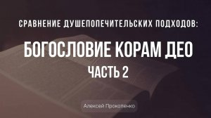 Сравнение душепопечительских подходов ｜ Часть 4 ｜ Алексей Прокопенко