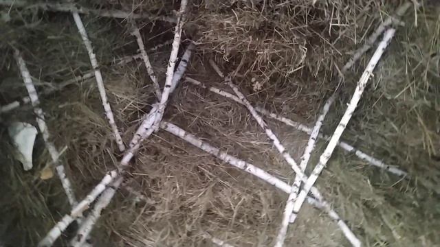 Кровля из сена. Поместье Ушаковых. Практика жизни. Ориана смотреть онлайн