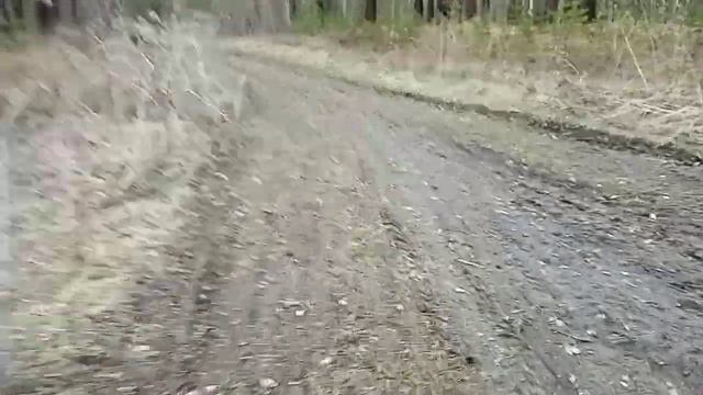 Мотороллер муравей 2. Первый выезд в лес смотреть онлайн