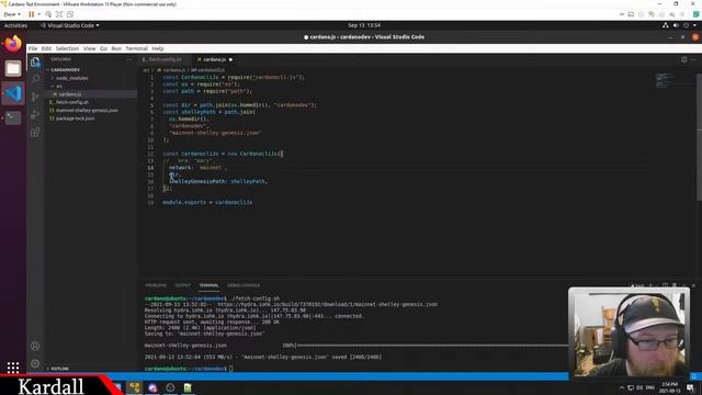 Setting up a Virtual Machine for Cardano Development (Live Stream) смотреть онлайн